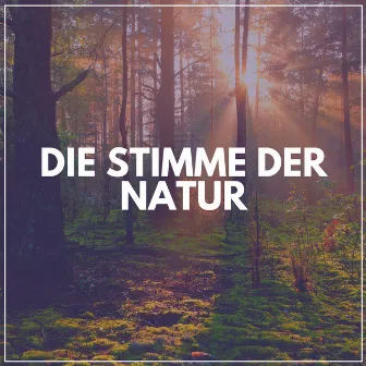 Die Stimme Der Natur by Waldgeräusche