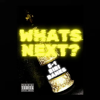 Whats Next? by riri banks