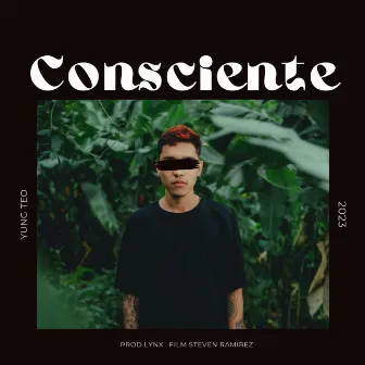 Consciente by Yung Teo