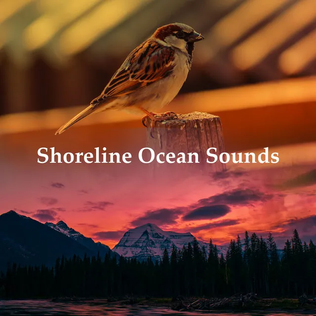 Shoreline Ocean Sounds