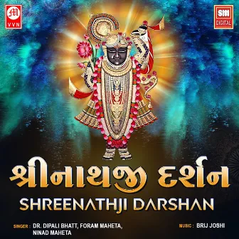 Shreenathji Darshan by Ninad Maheta