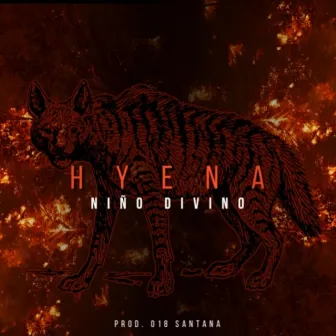 Hyena by Niño Divino