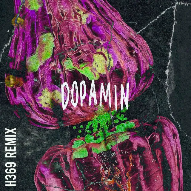 Dopamin - H369 Remix