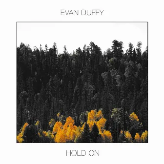 Hold On by Evan Duffy