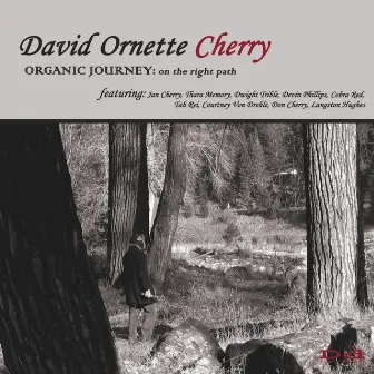 Organic Journey: On the Right Path by David Ornette Cherry