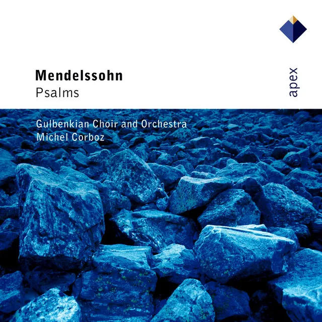 Mendelssohn: Psalm XLII, Op. 42, MWV A15 "Wie der Hirsch schreit": No. 2, Arie. "Meine Seele dürstet"