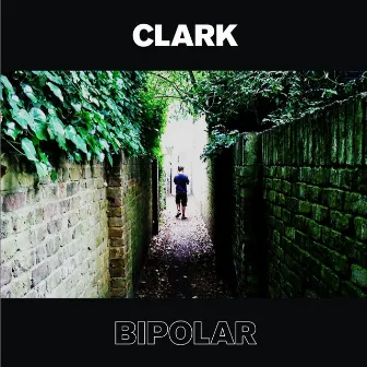 Bipolar by Clark