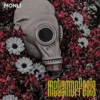 Metamorfosis by Monli