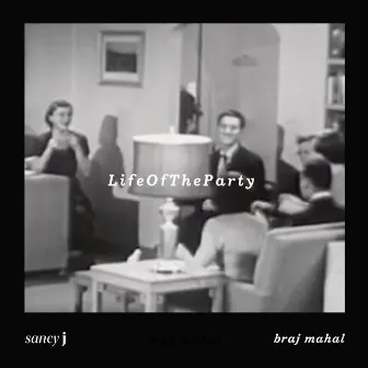 LifeOfTheParty by braj mahal