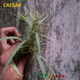 Marijuana by Cae$ar