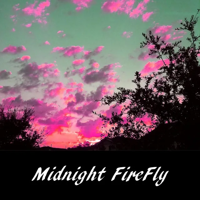 Midnight FireFly