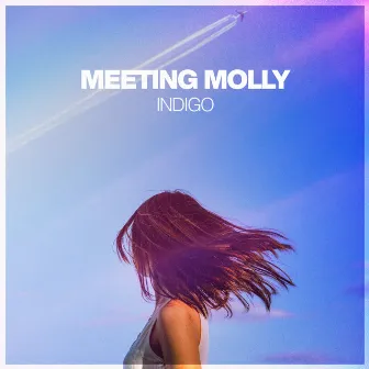 Indigo by Meeting Molly