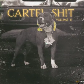 #CartelShxt Vol.2 by Rich Music Cartel