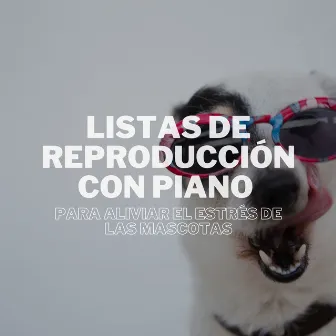 Listas De Reproducción Con Piano Para Aliviar El Estrés De Las Mascotas by Consorte de música de piano relajante