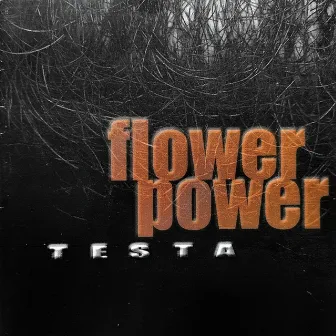 Flower Power by Testa