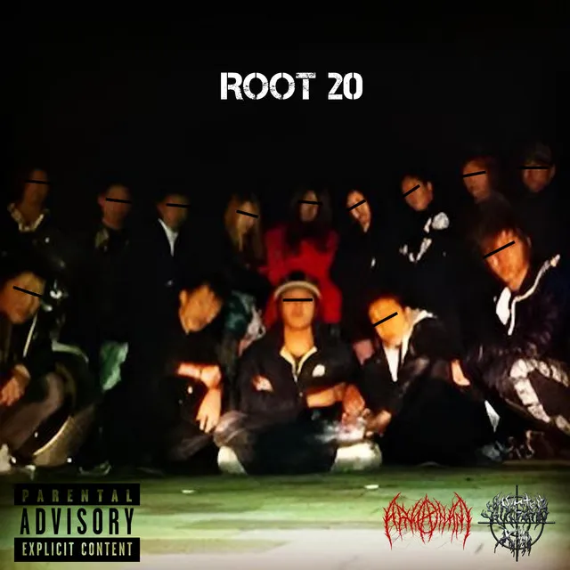 ROOT 20