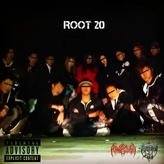 ROOT 20 by Makn