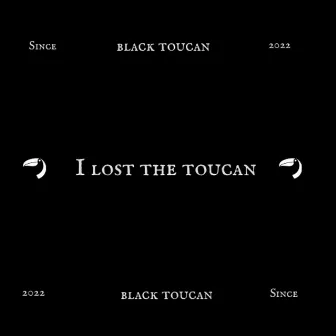 I lost the toucan by DVPT