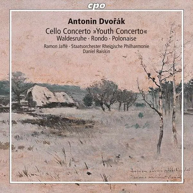 Cello Concerto in A Major, B. 10: I. Andante - Allegro assai