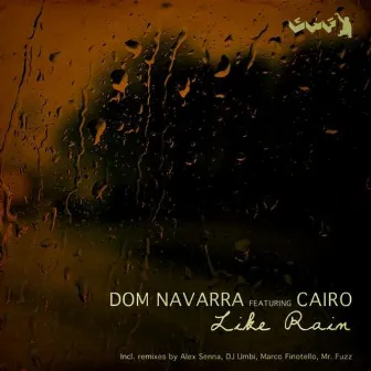 Like Rain by Dom Navarra