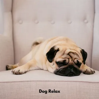 Dog Relax by Dog Sleep Academy