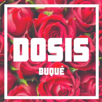 Dosis by Buqué