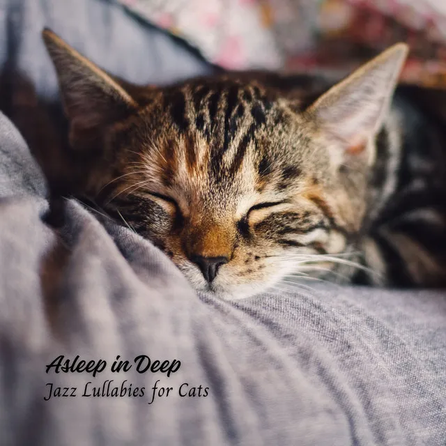 Asleep in Deep: Jazz Lullabies for Cats