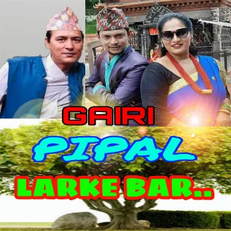 Gairi Pipal Larke Bar by Dinesh Shrestha