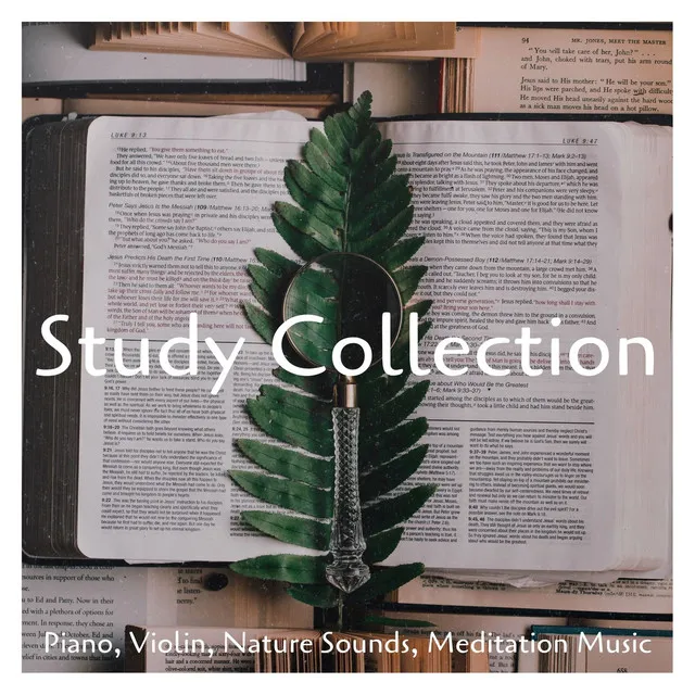 Study Collection: Piano, Violin, Nature Sounds, Meditation Music