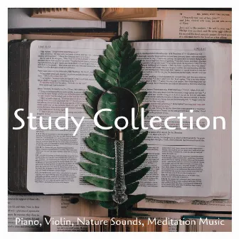 Study Collection: Piano, Violin, Nature Sounds, Meditation Music by Homework Specialist