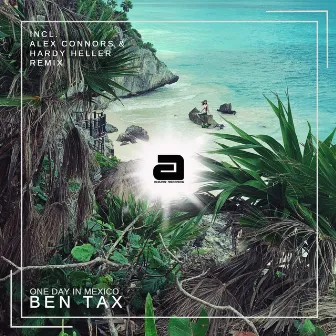 One Day In Mexico by Ben Tax