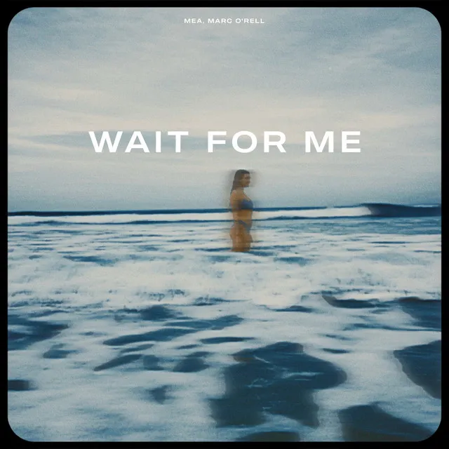 Wait for Me