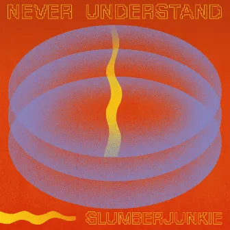 Never Understand by Slumberjunkie