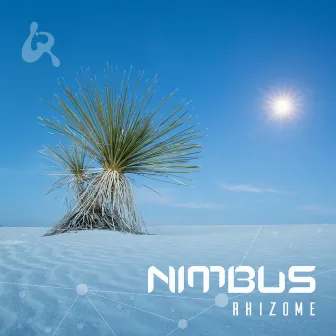 Rhizome by Nimbus