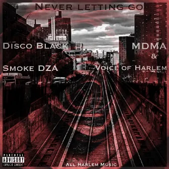 Never Letting Go by All Harlem Music