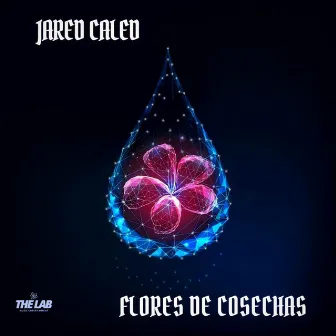 Flores De Cosechas by Jared Caled