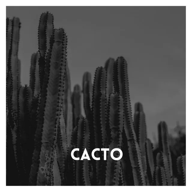 Cacto