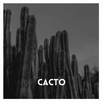 Cacto by Nardis Beatz