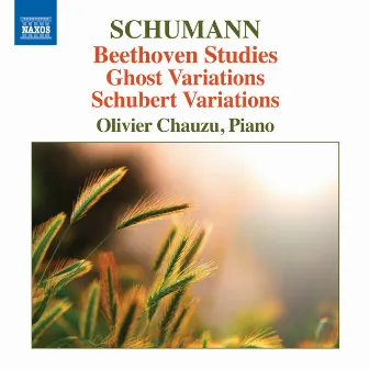 R. Schumann: Piano Variations by Olivier Chauzu