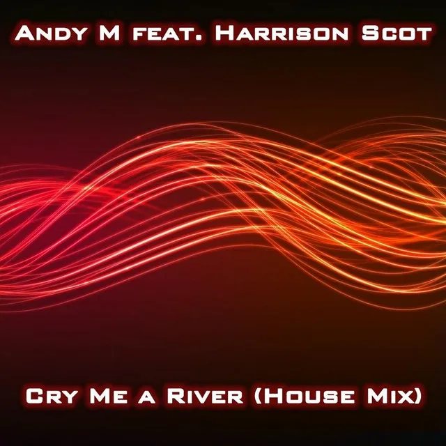 Cry Me A River ( house mix ) [feat. Harrison Scott]