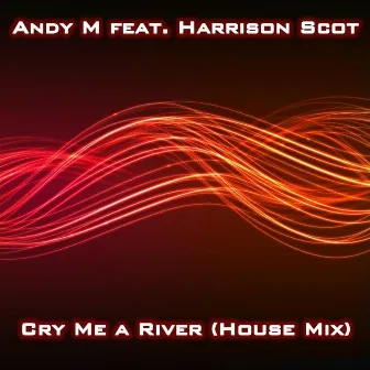 Cry Me A River ( house mix ) [feat. Harrison Scott] by Andy M