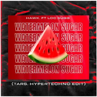 Watermelon Sugar (HYPERTECHNO EDIT) by Loc Sugg