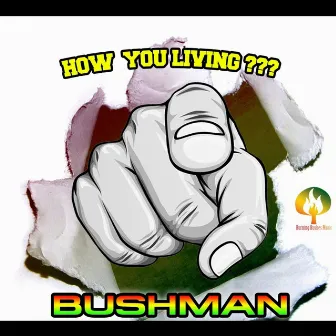 How You Living - Single by Bushman