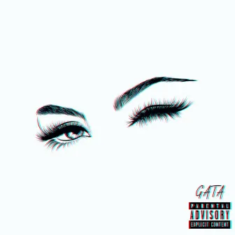 Gata by MC WR Da Zn