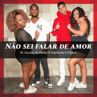 Não Sei Falar de Amor by Mc Cacaio