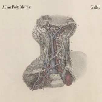 Gullet by Adam Pultz Melbye