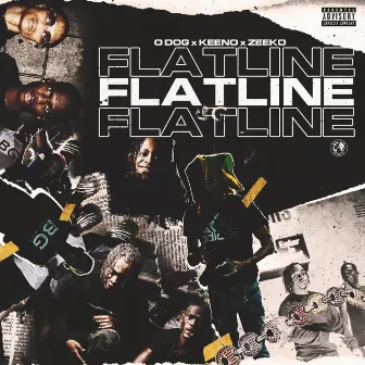 Flatline by Zeeko