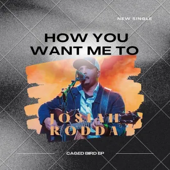 How You Want Me To by Josiah Rodda