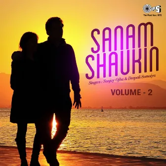 Sanam Shaukin, Vol. 2 by Unknown Artist