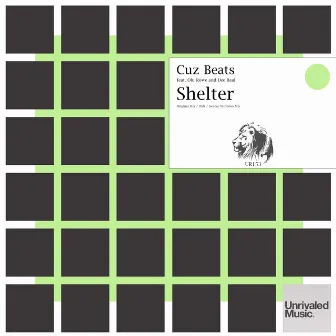 Shelter by Cuz Beats feat Olu Rowe and Dee Real